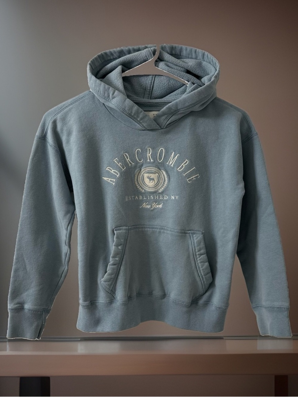 Abercrombie Kids Girls 9/10 Blue Embroidered Logo Pullover Hoodie Sweatshirt